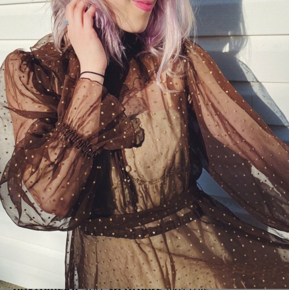 Vintage Sheer Polka Dot Dress - Picture 2 of 6